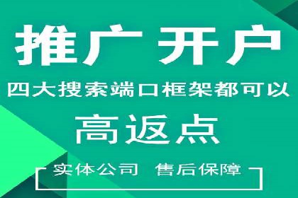 SEM竞价代运营公司案例应用解读